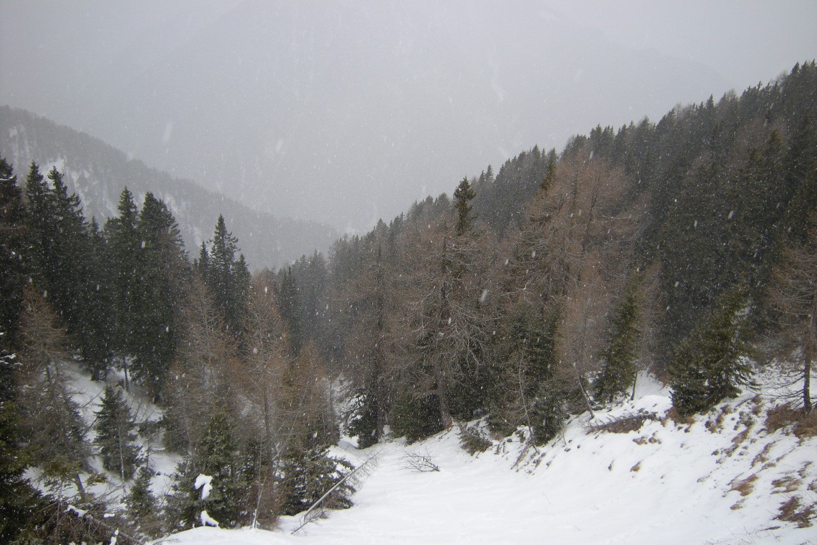 2011.-December-.29-Sieles-Tarvisio-Camporosso-038.jpg