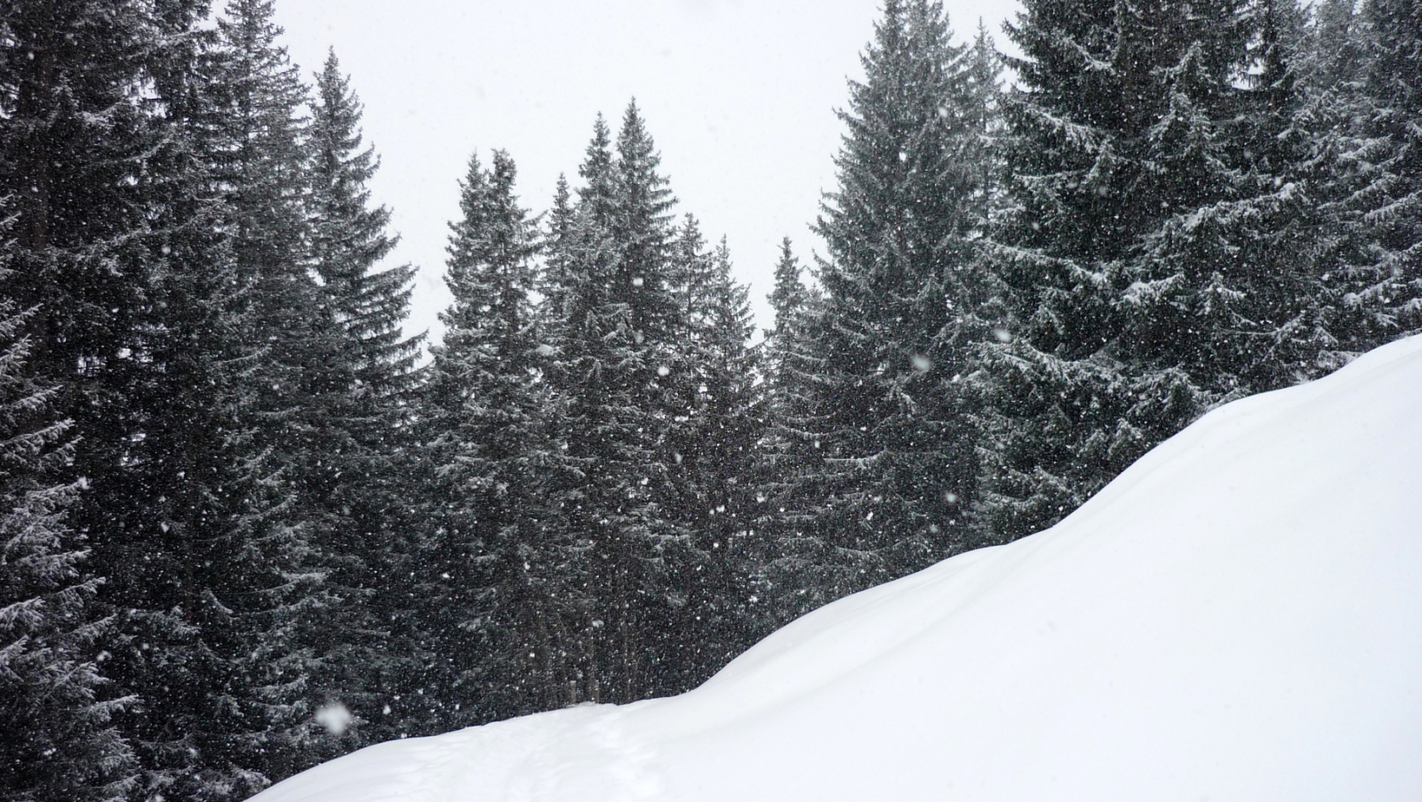 séta fel Hintertuxból a Bichlalm-hoz