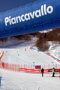 fis-cup.jpg