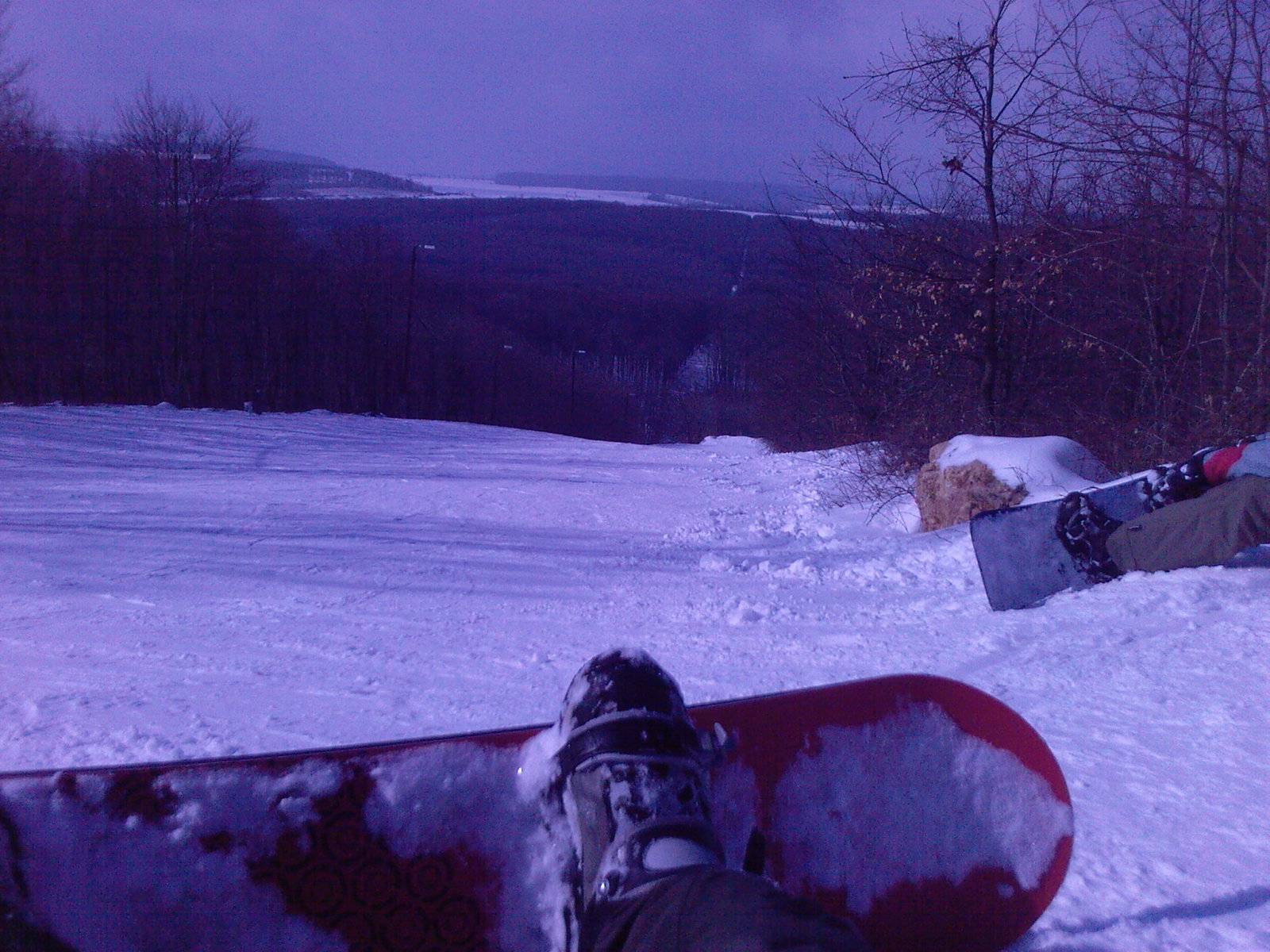 boardos ül a hóban