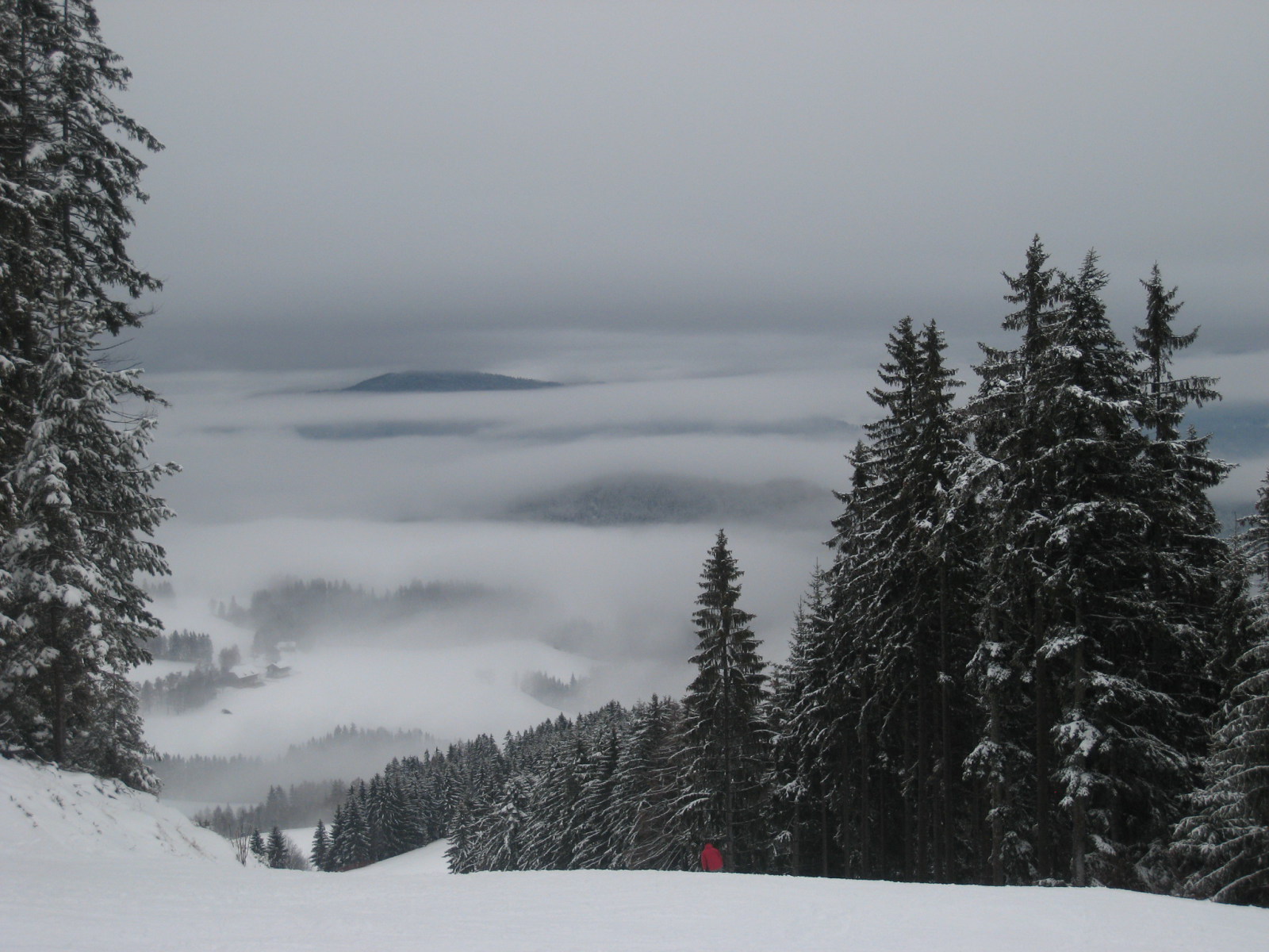 IMG-4002.jpg
