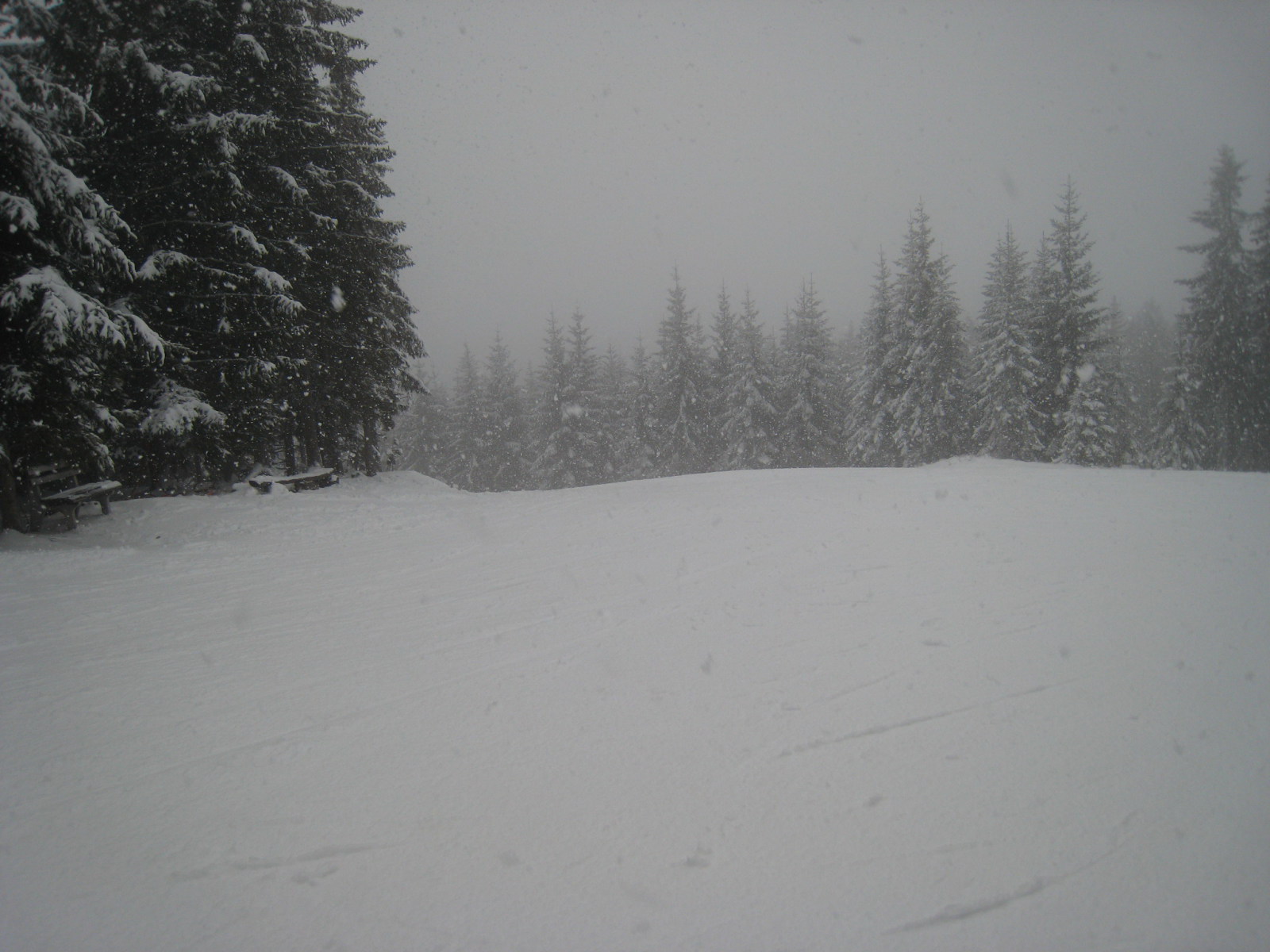 IMG-4013.jpg