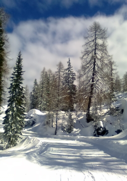 Romantikus kék pálya :)