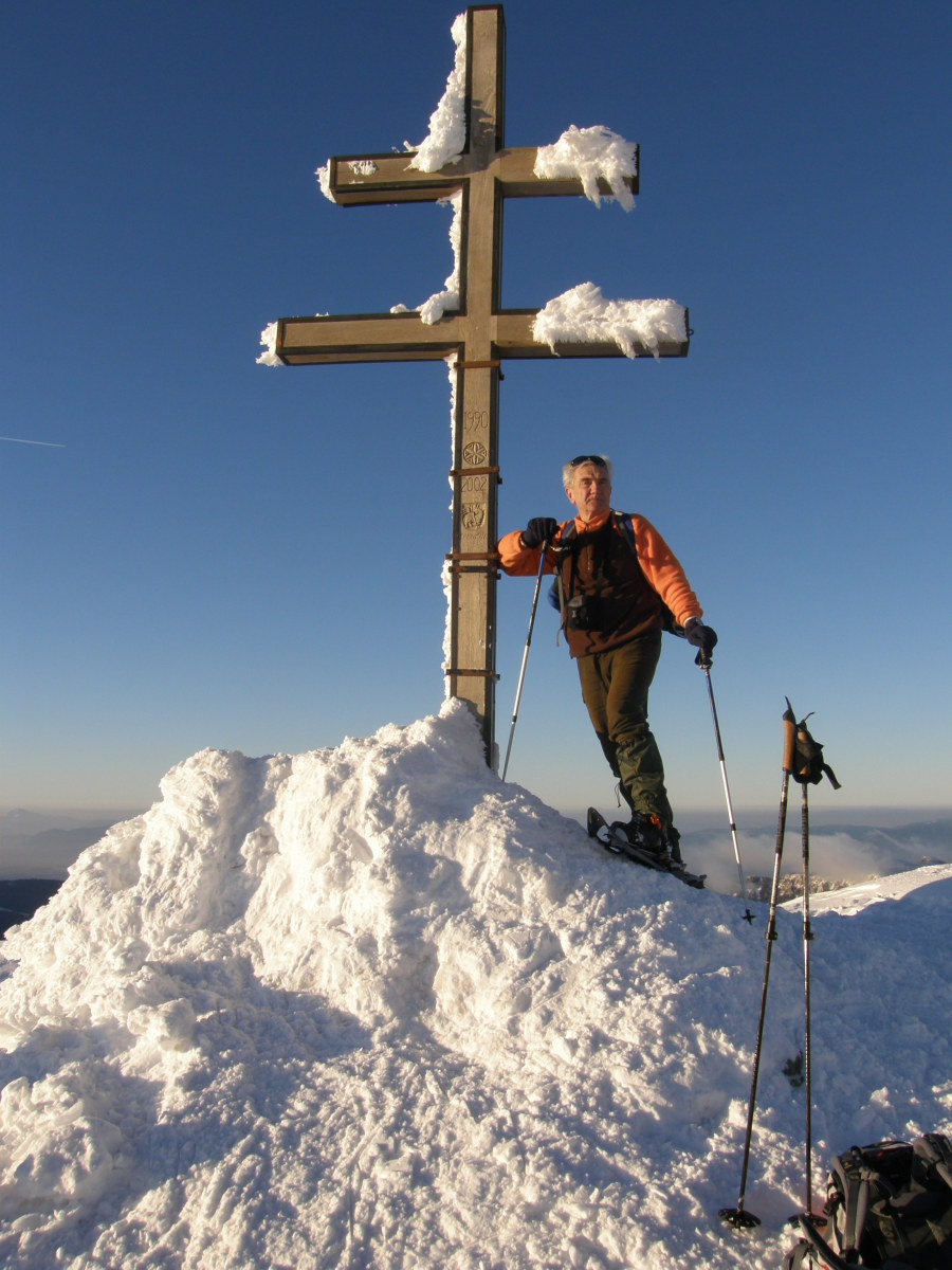 Gyömbér 2010