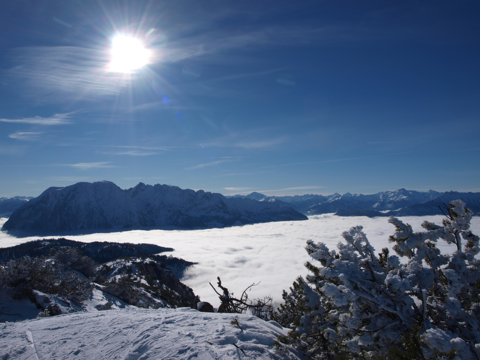 P1233446.JPG