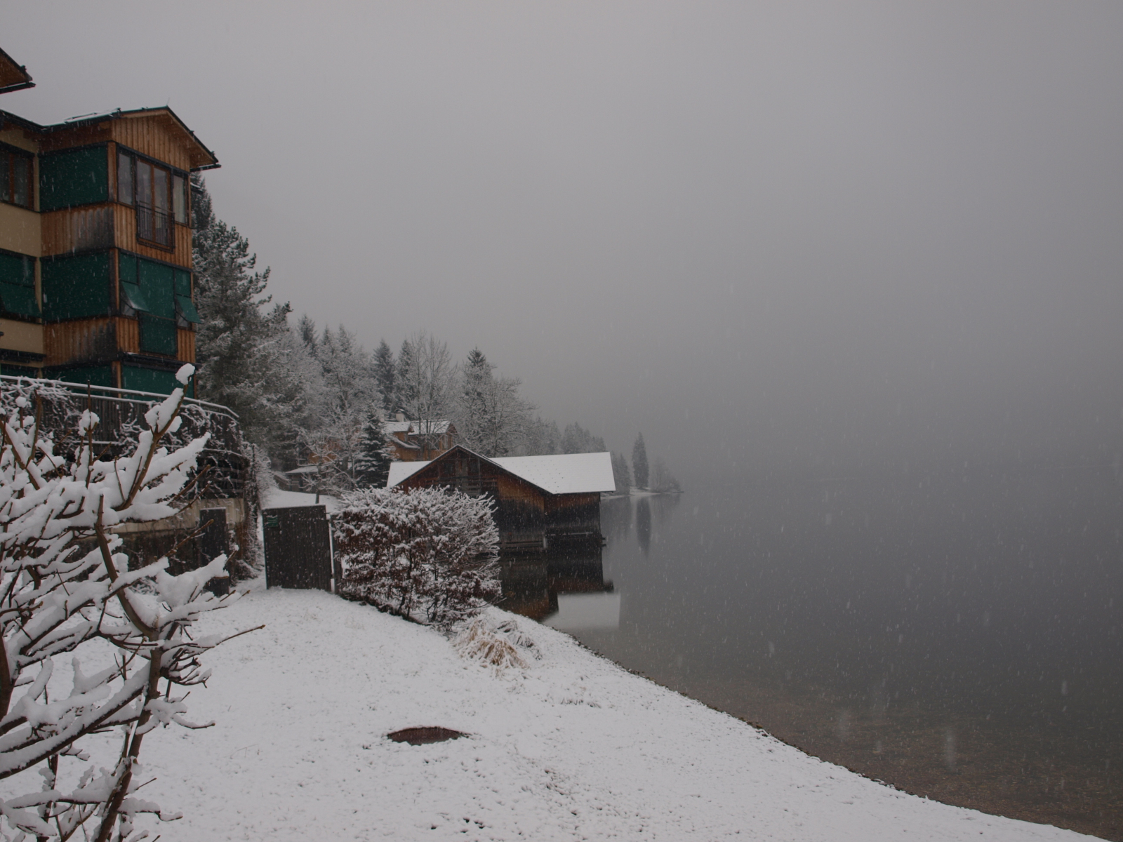 P1243500.JPG