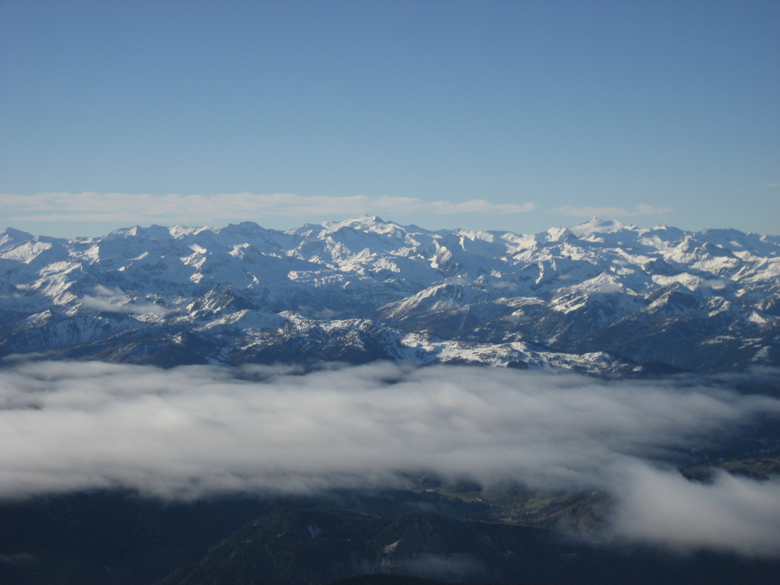 IMG-0810.jpg