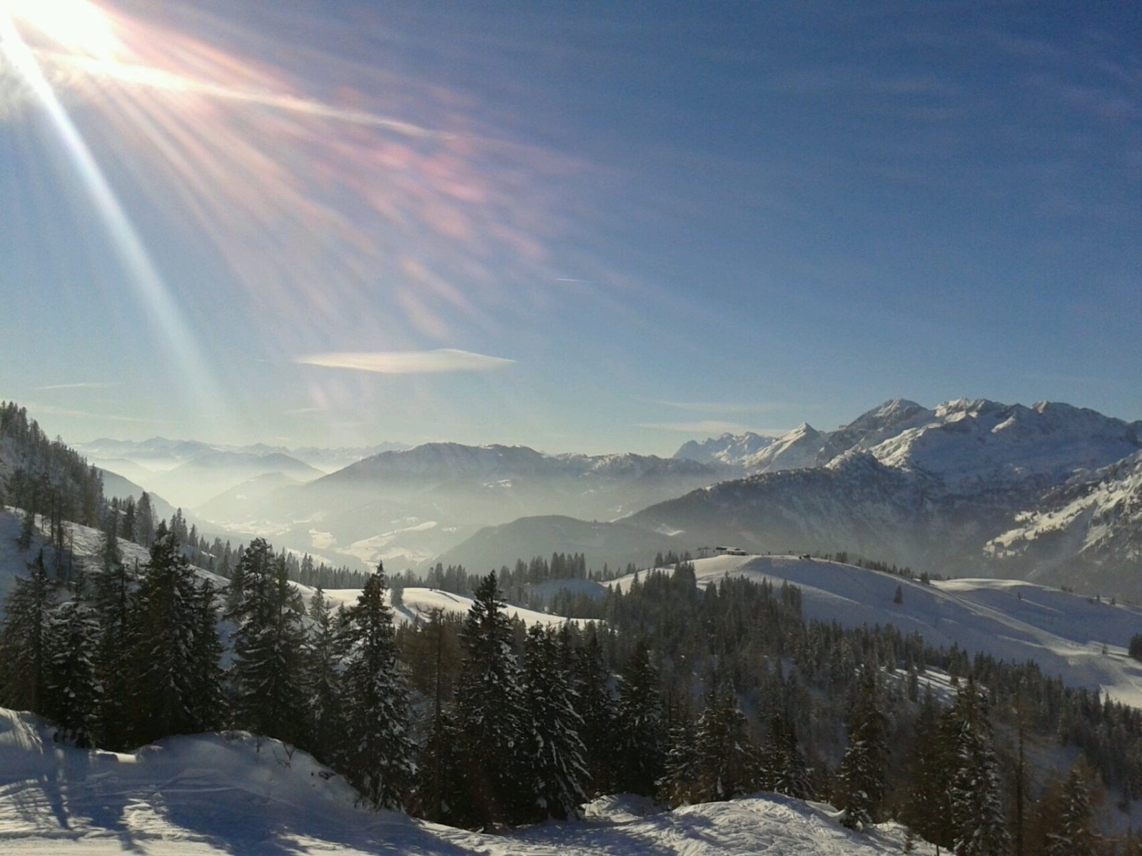 IMG-9179.JPG
