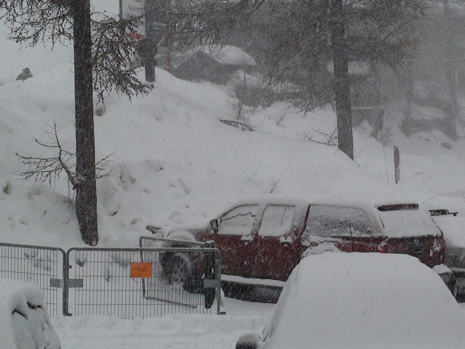 Ez egy igazi  TÉL !  /volt 2010)