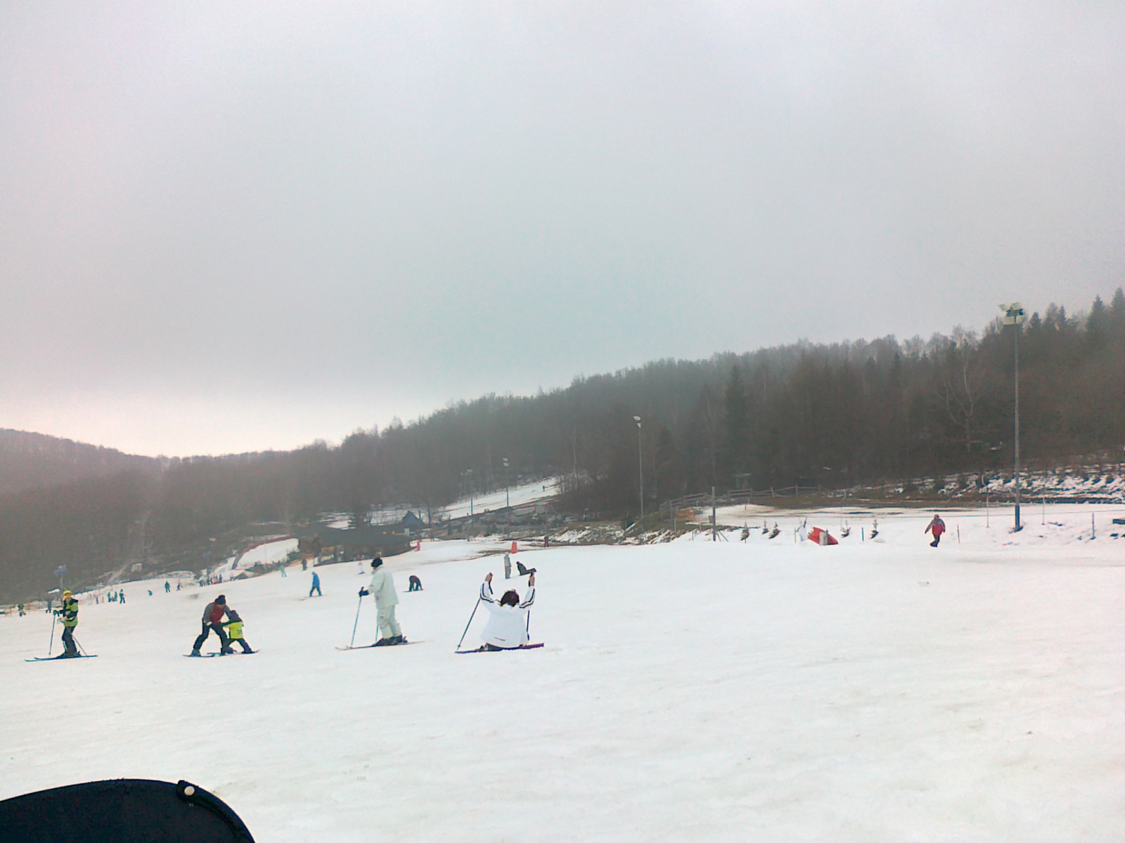 20110109259.jpg