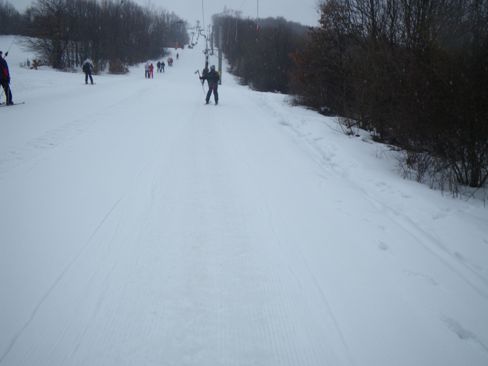 IMGP0210.JPG