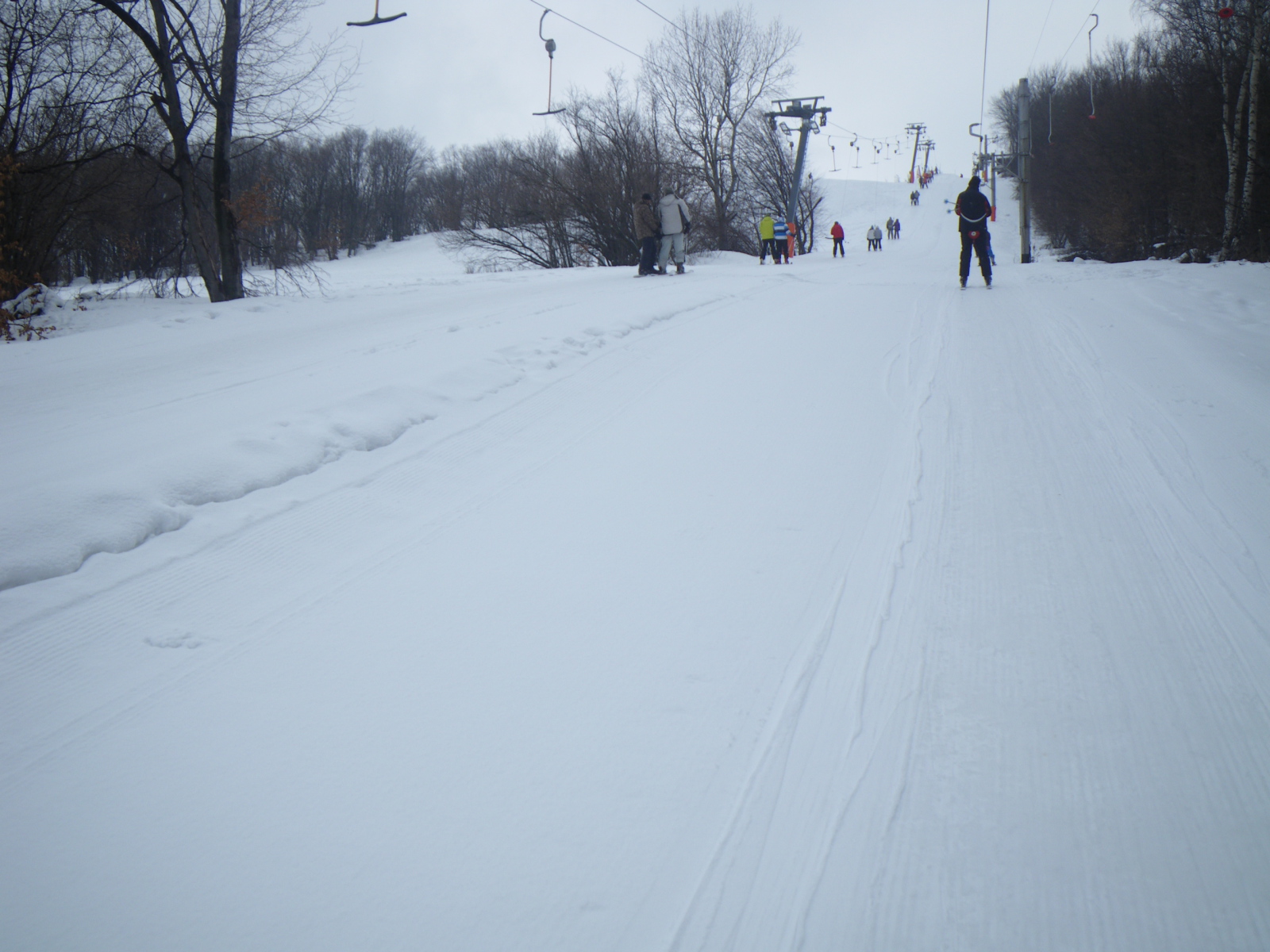 IMGP0232.JPG