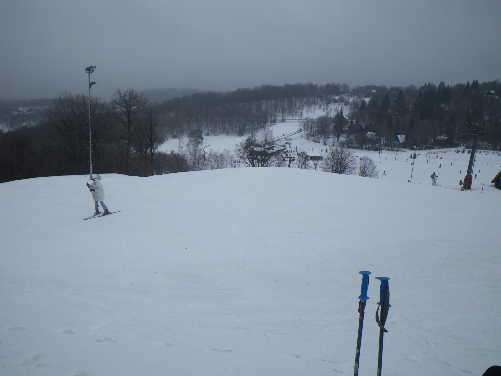IMGP0243.JPG