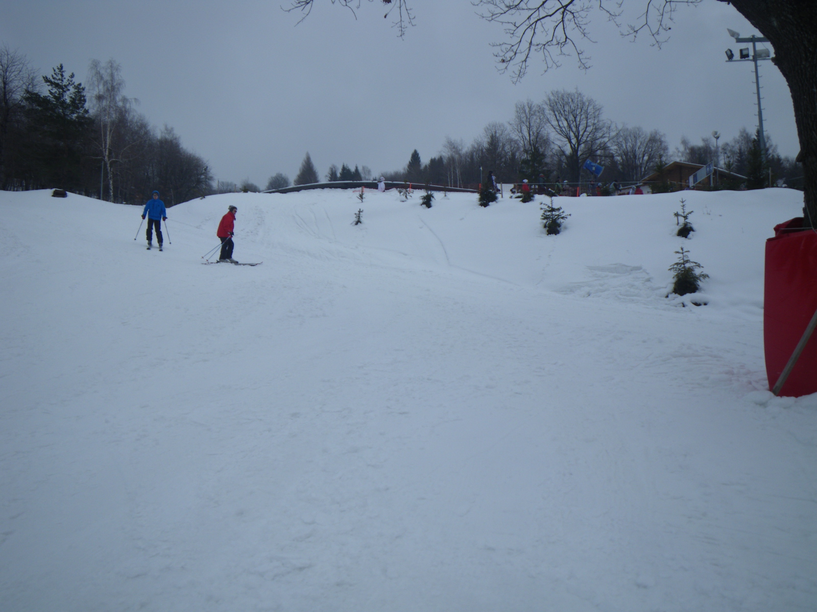 IMGP0256.JPG