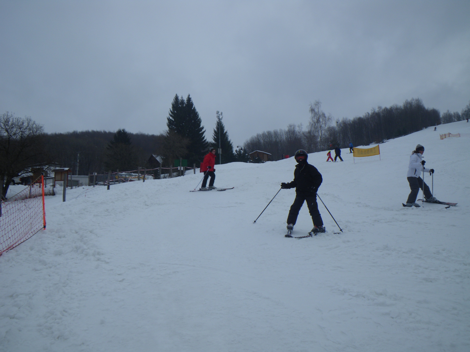 IMGP0264.JPG