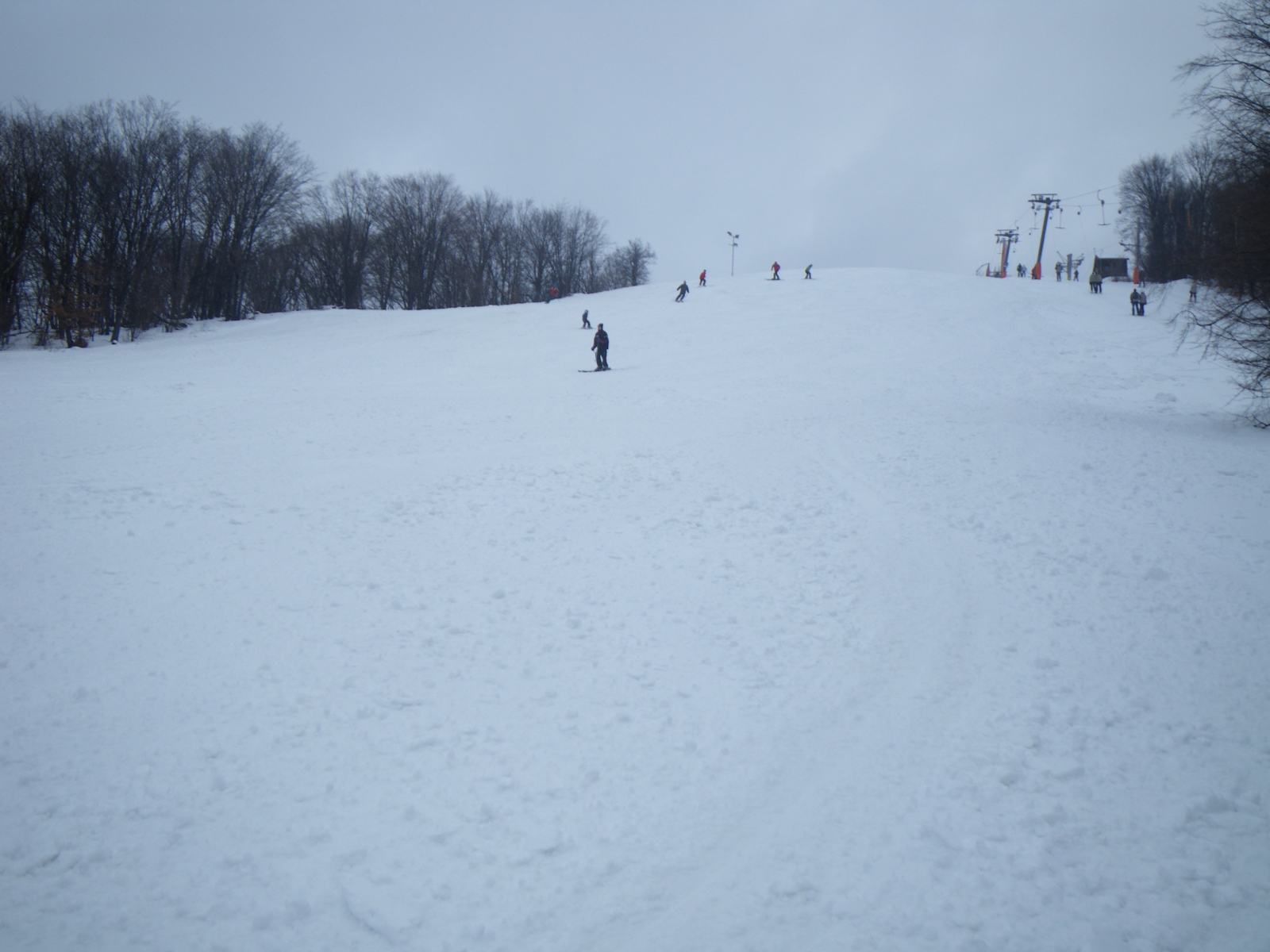 IMGP0272.JPG