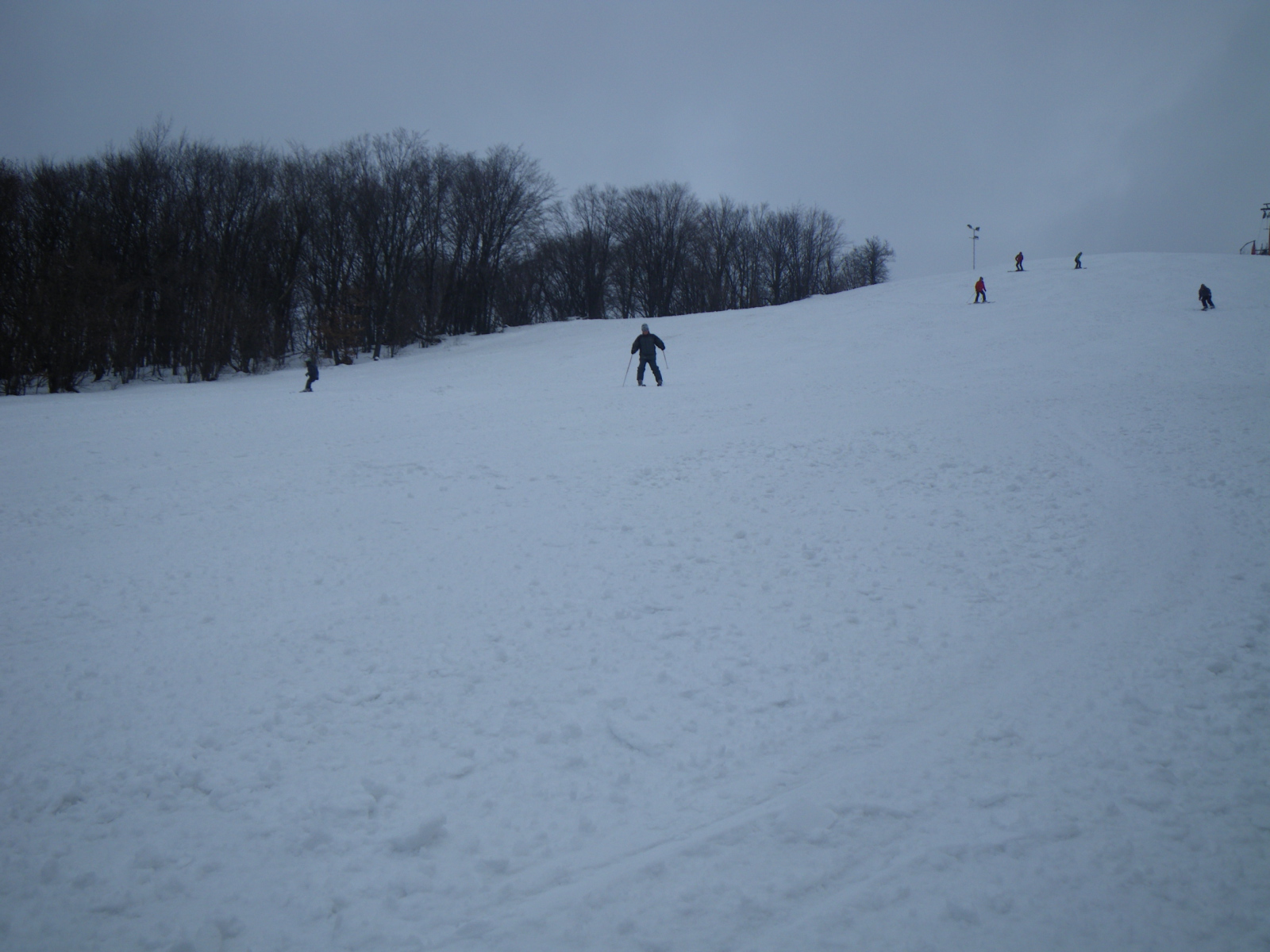 IMGP0274.JPG