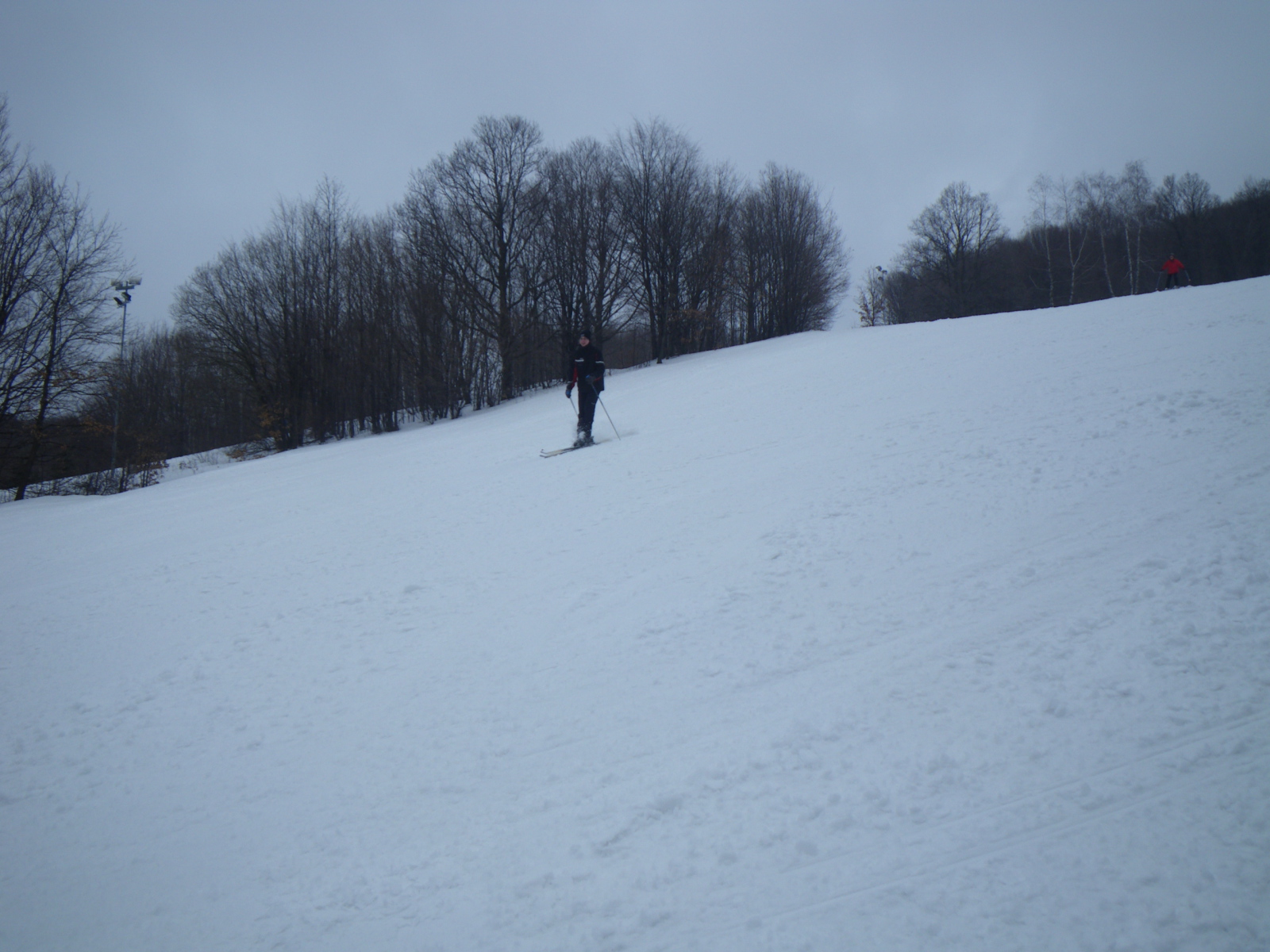IMGP0278.JPG