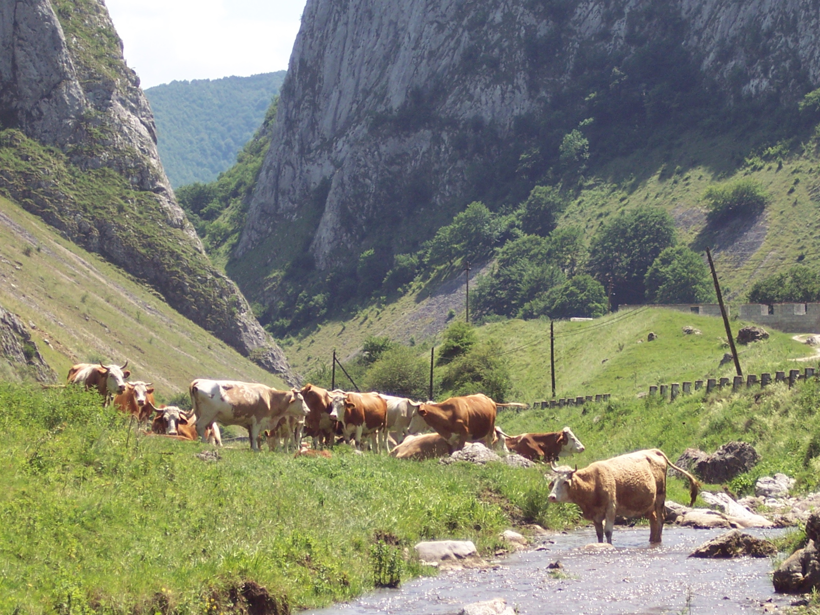 Torockó,(Erdély) Kőköz szoros