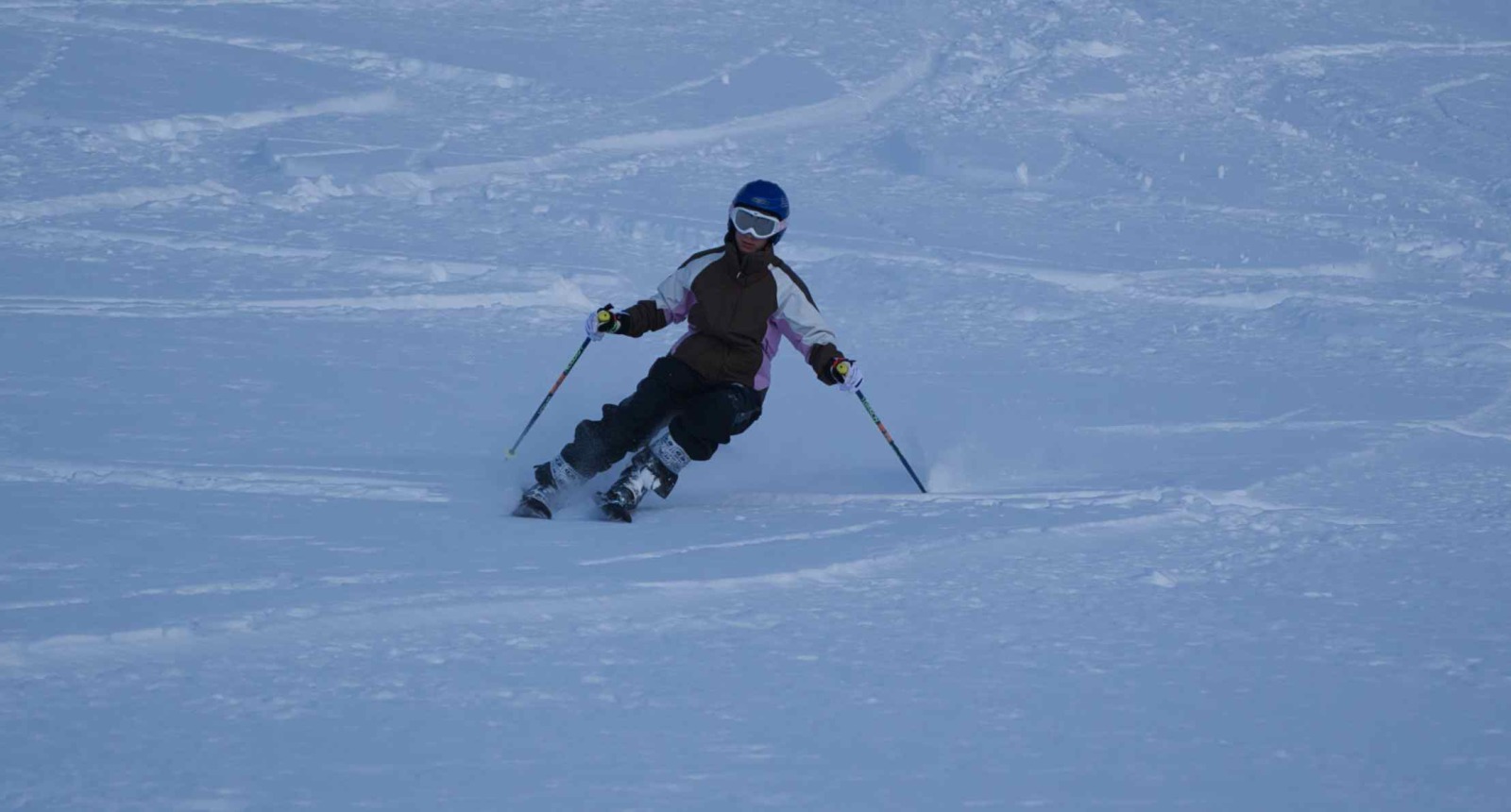 champipi del freeride a hölgyeknél - husicicú avagy a macskanő