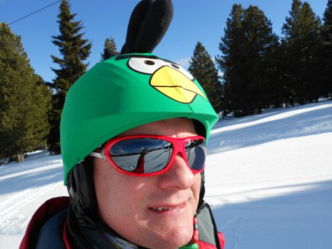 Zöld madár - sisakhuzatban