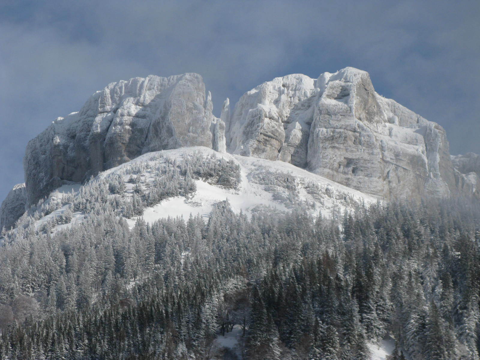 Loser a csúcs 2010.01.25