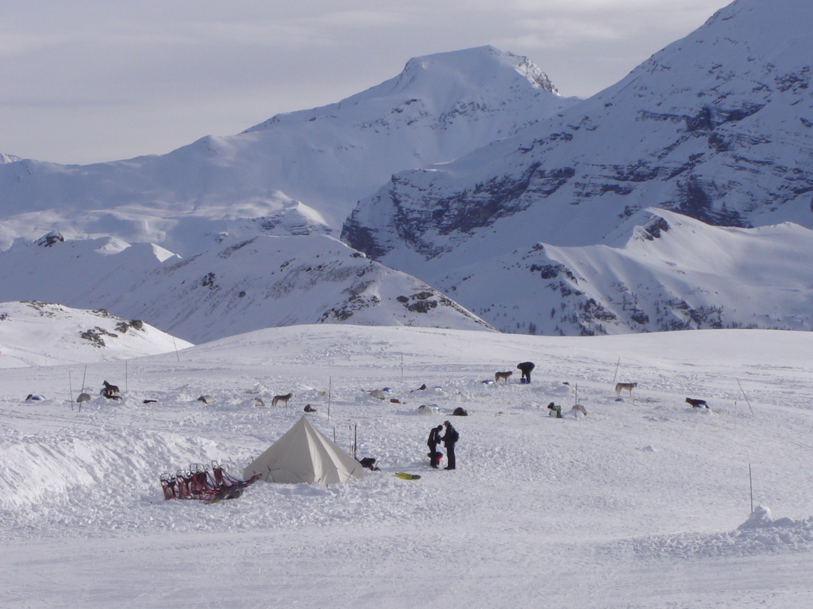 SZÁNHÚZÓK A ROCHE ROUSSE-NÁL