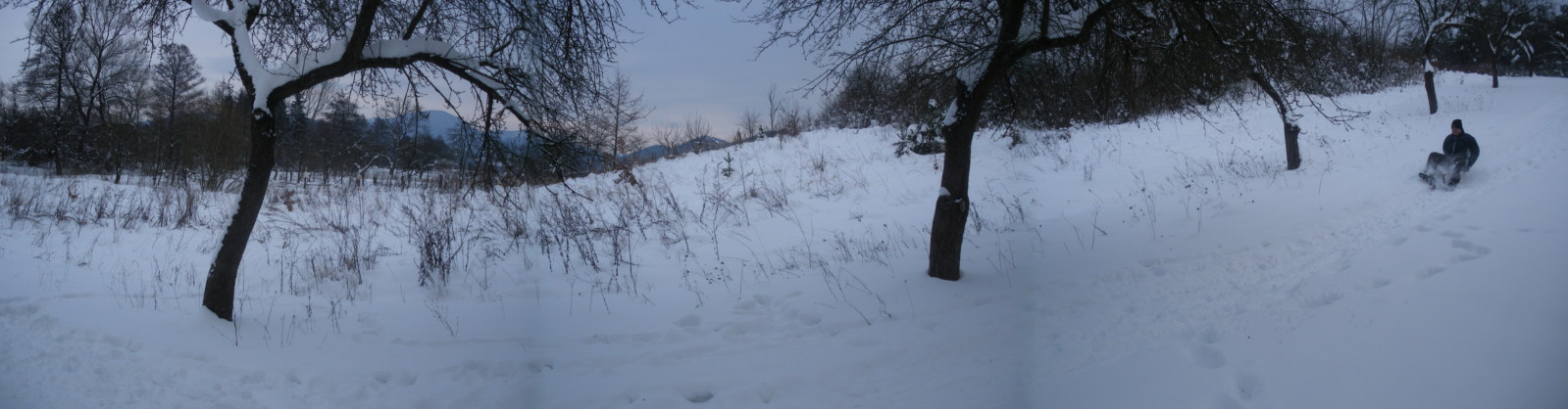 IMGP0225.JPG