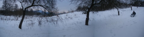 IMGP0225.JPG