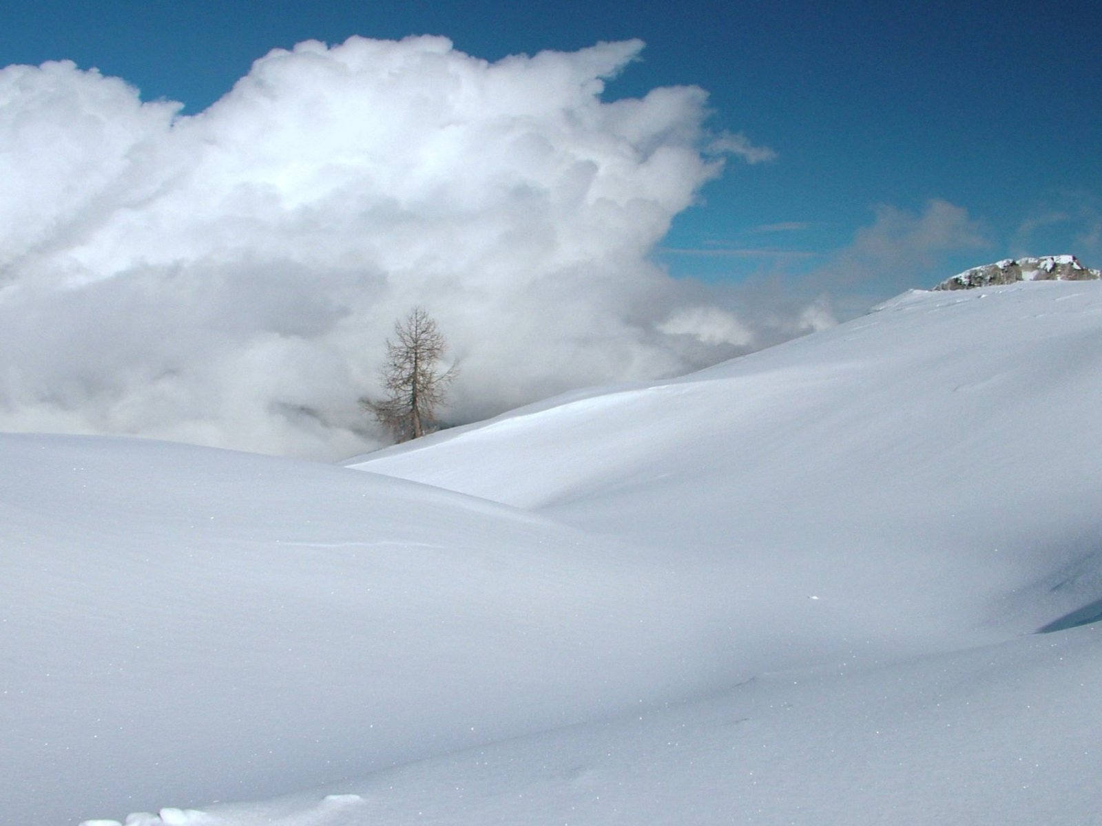 Mielőtt elnyeli a felhő