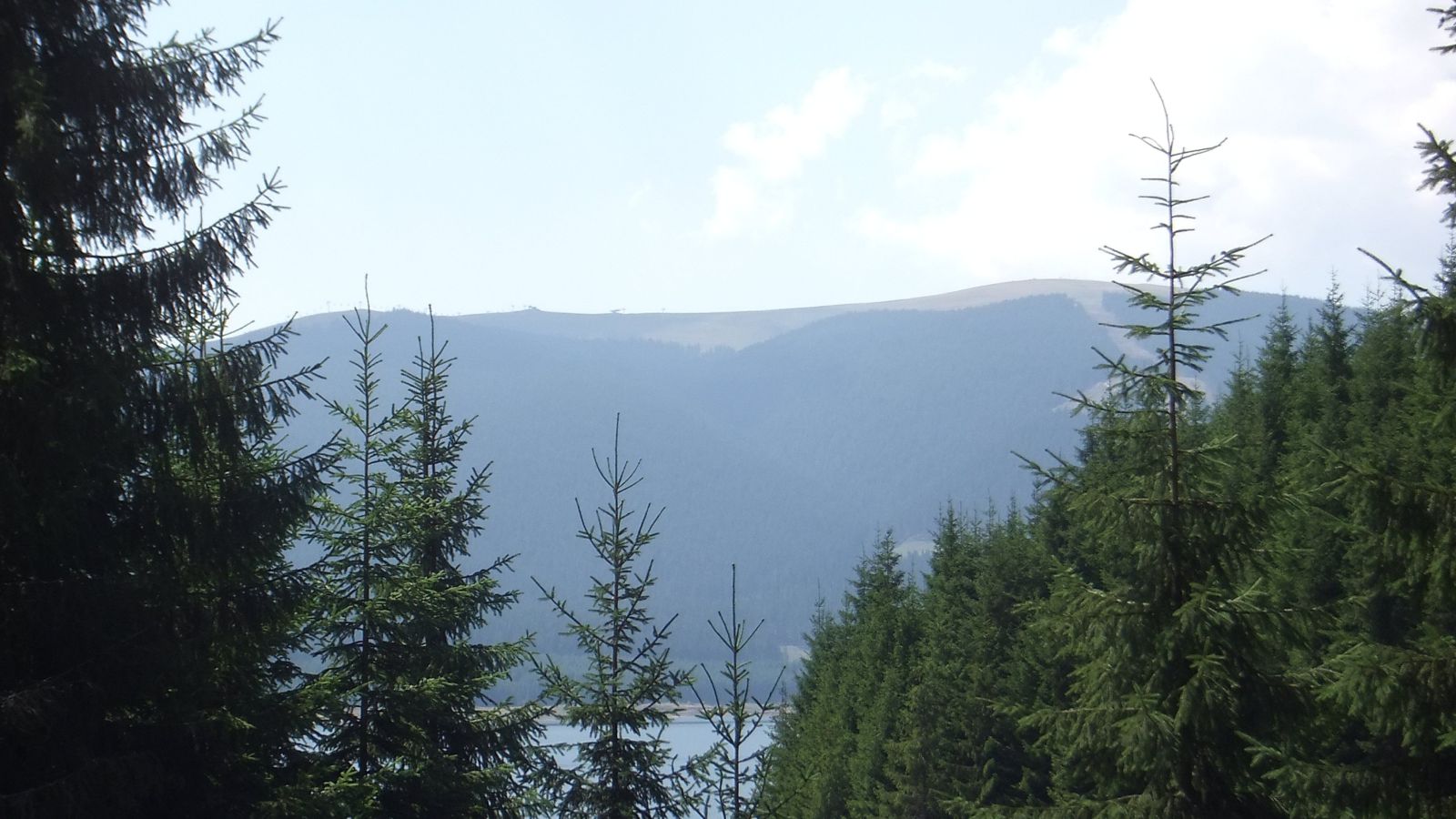 DSCF0068.jpg