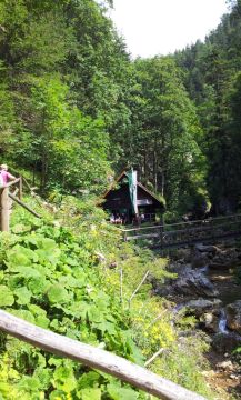 bergwachthutte.jpg