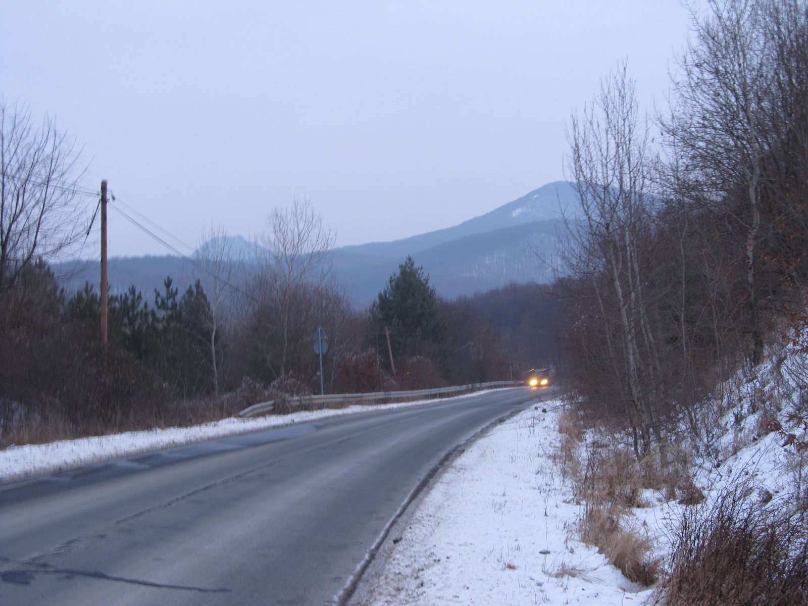 IMG-2369.JPG