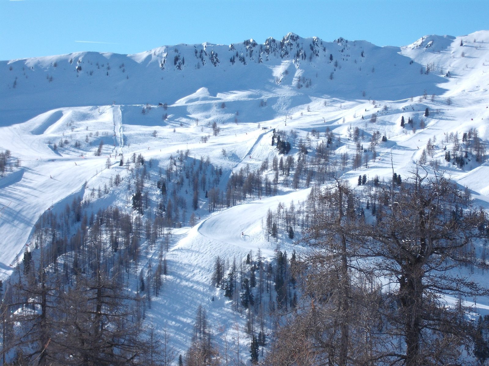 Fehér szőnyegrengeteg