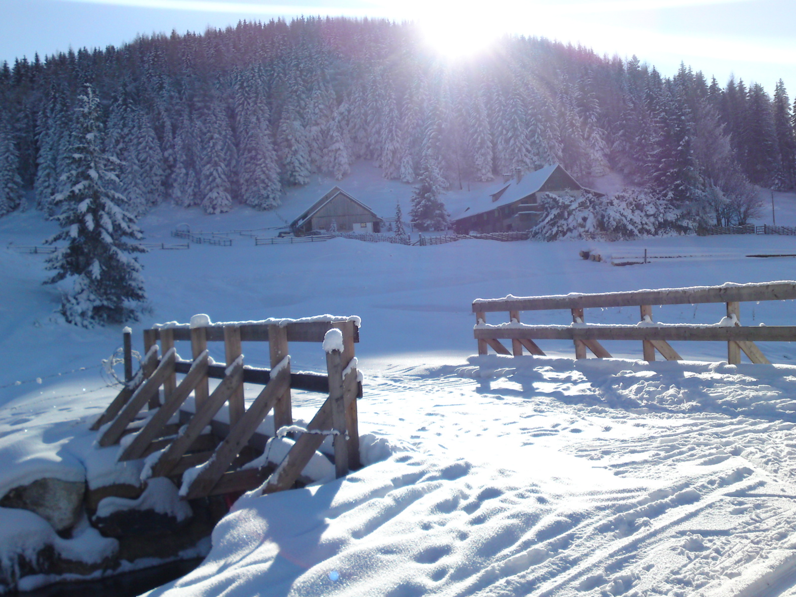 SOMMERALM 2010.01.24.