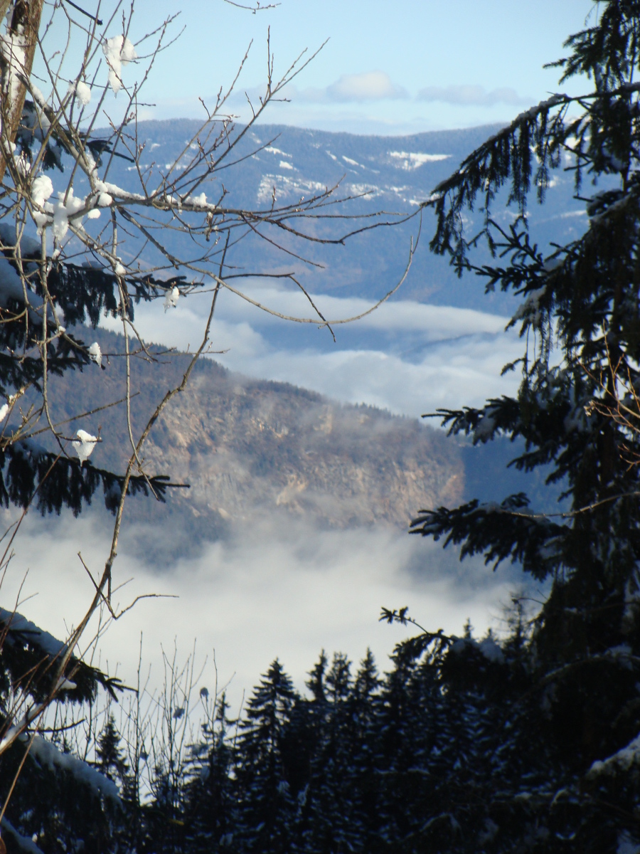 Kilátás a pálya mellett