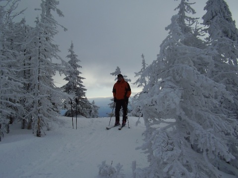 egy partizán a fenyőcsonkok közt az Ördöglakodalma tetején