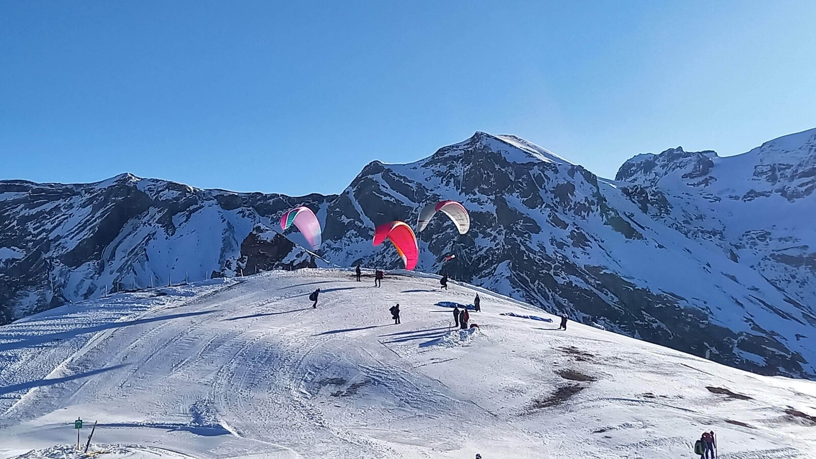 A paplanernyősök felszálló helye