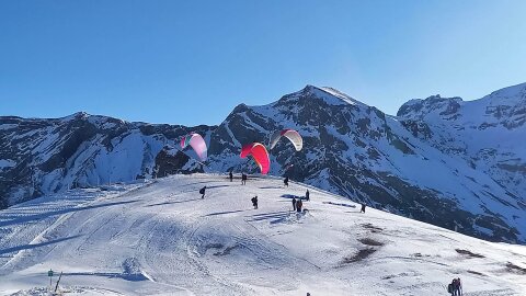 A paplanernyősök felszálló helye