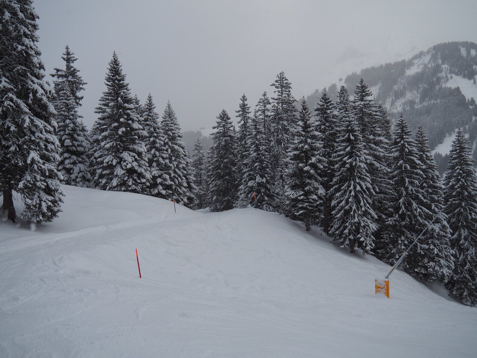 ilyenkor lehetett többet látni
