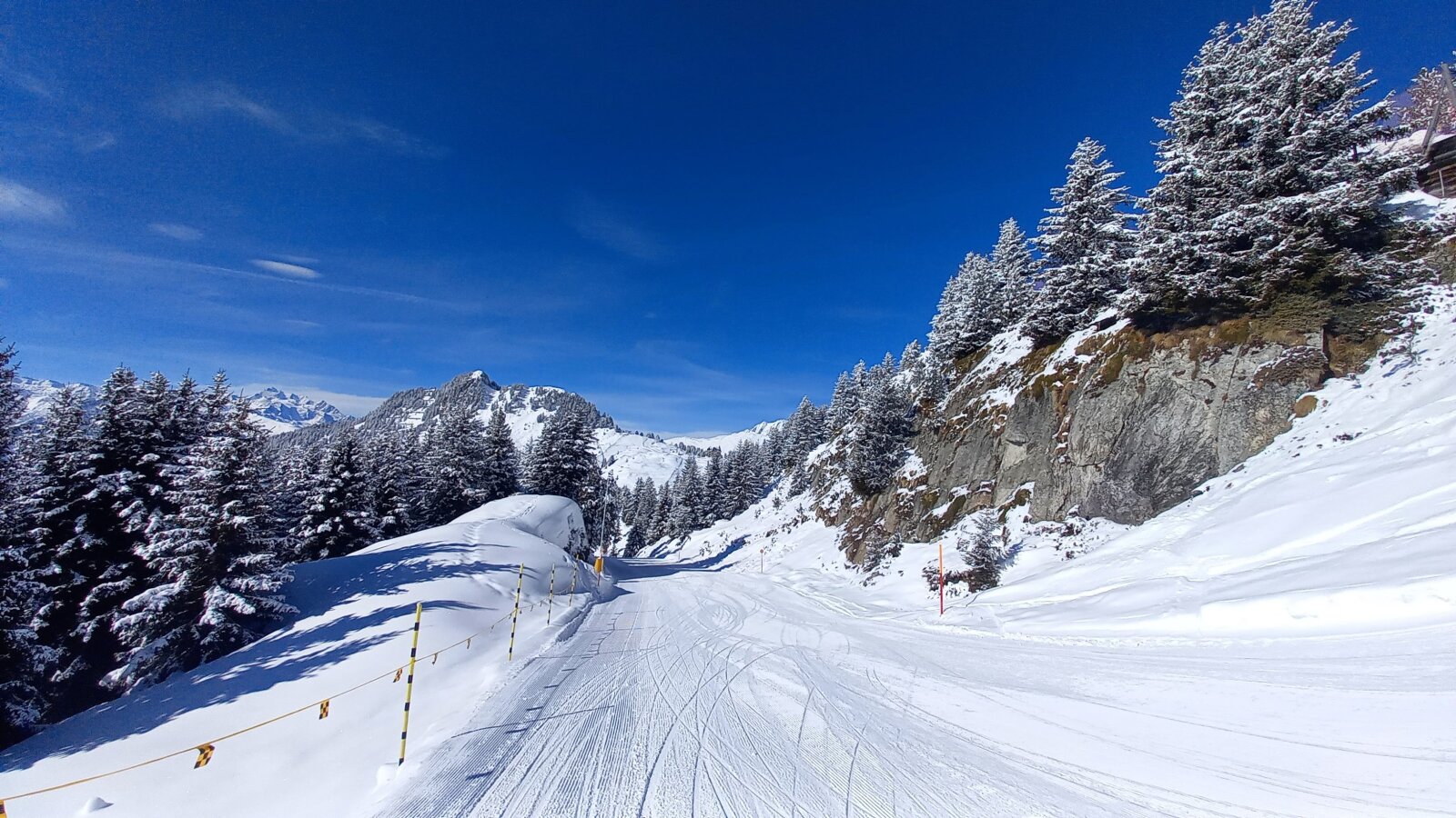 Még havasak a fenyők