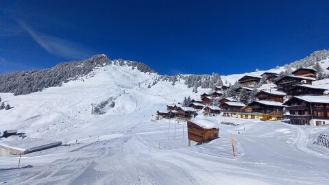 Riederalp sípályái