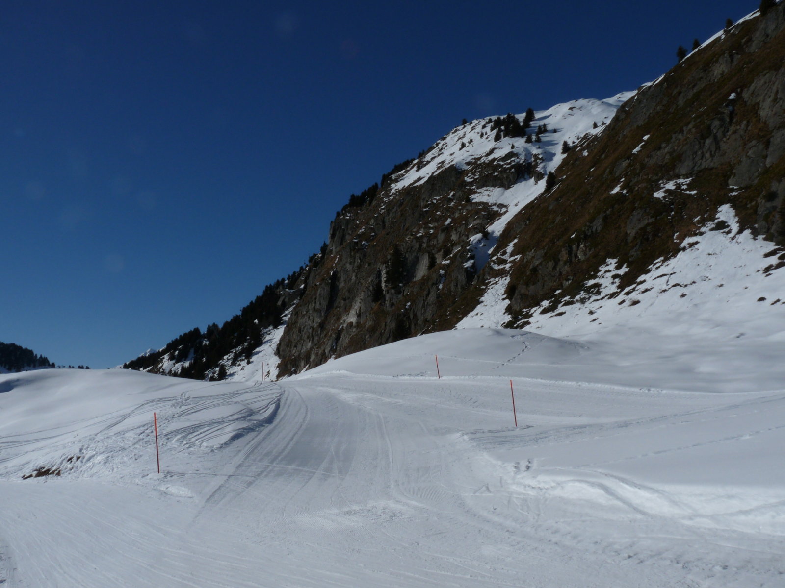 P1370267.JPG