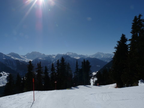 a ritka fenyves pályák egyike