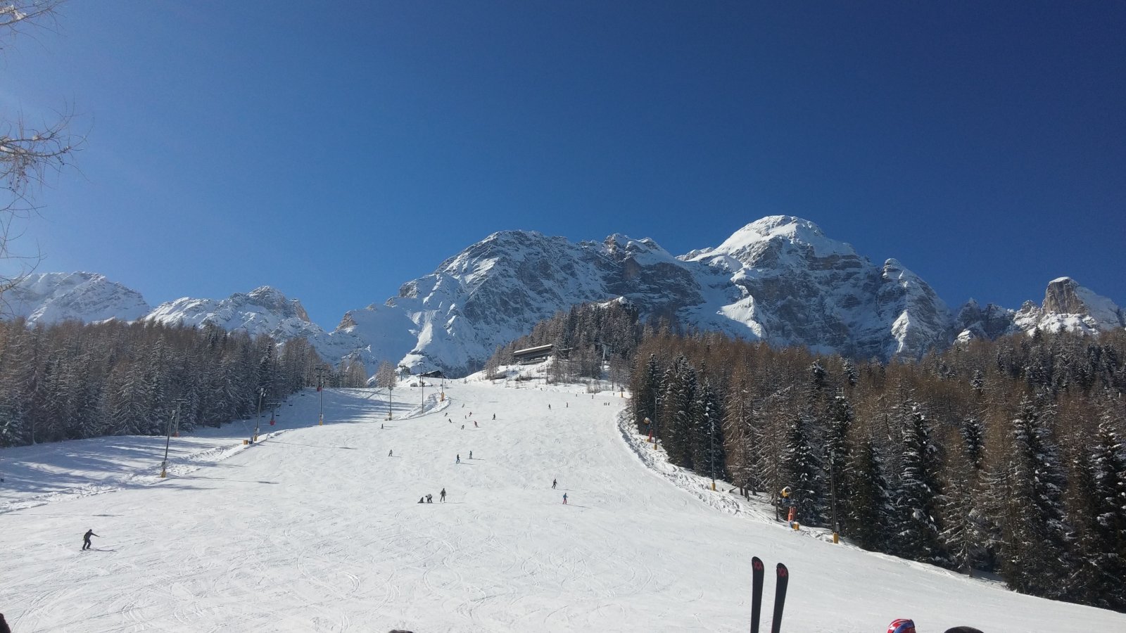 20180210-124049.jpg