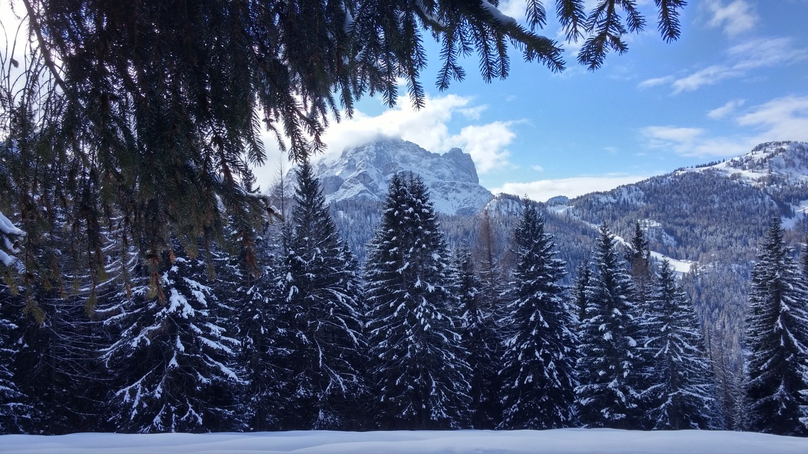 20180213-113010-HDR.jpg