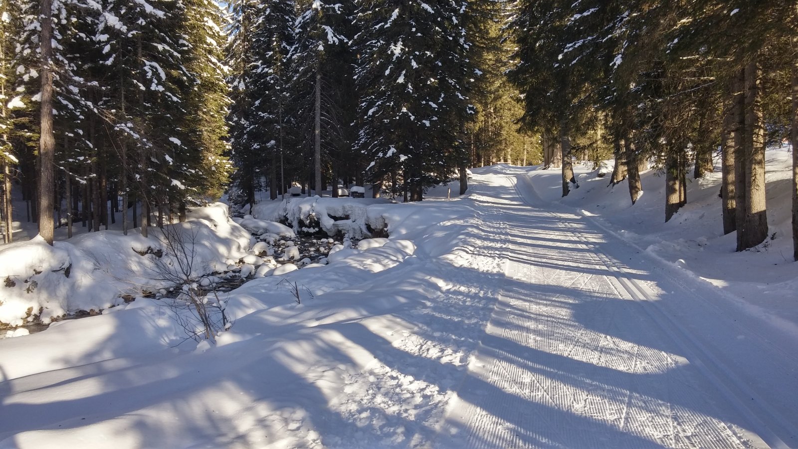 20180215-161710-HDR.jpg