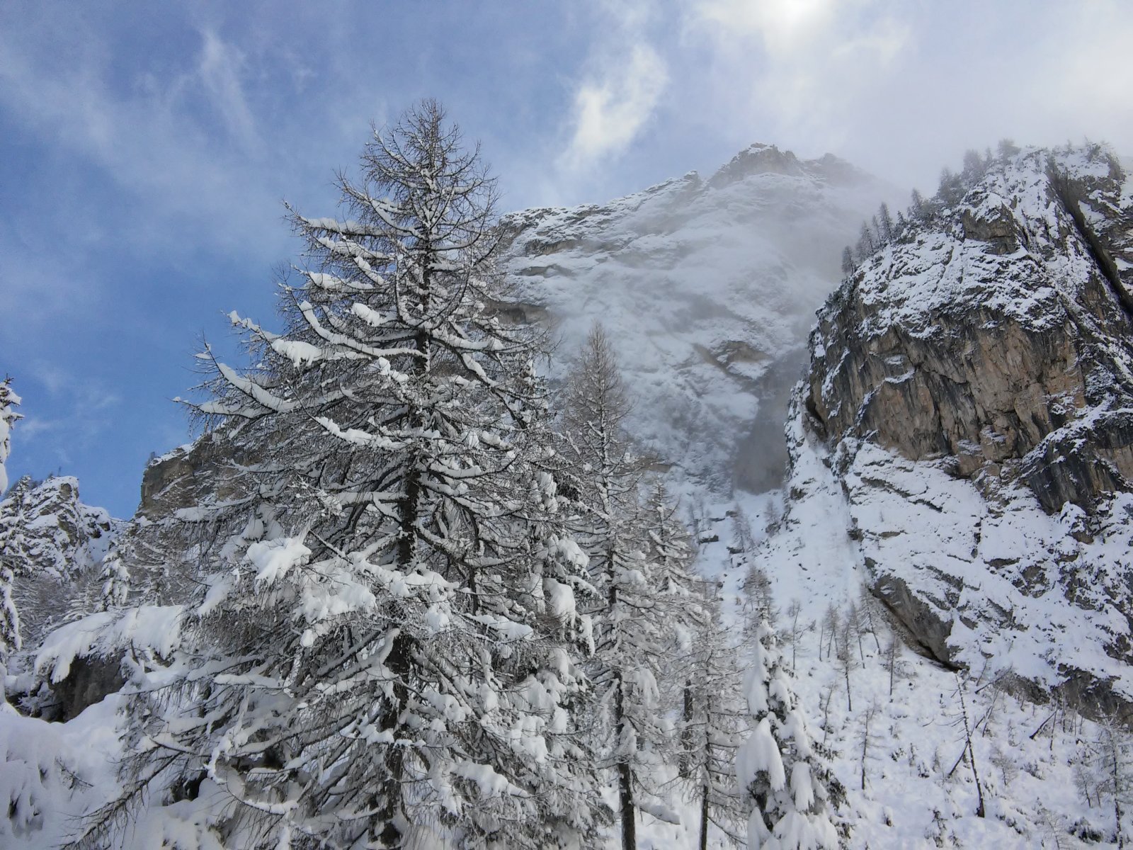 20170206-154610.jpg