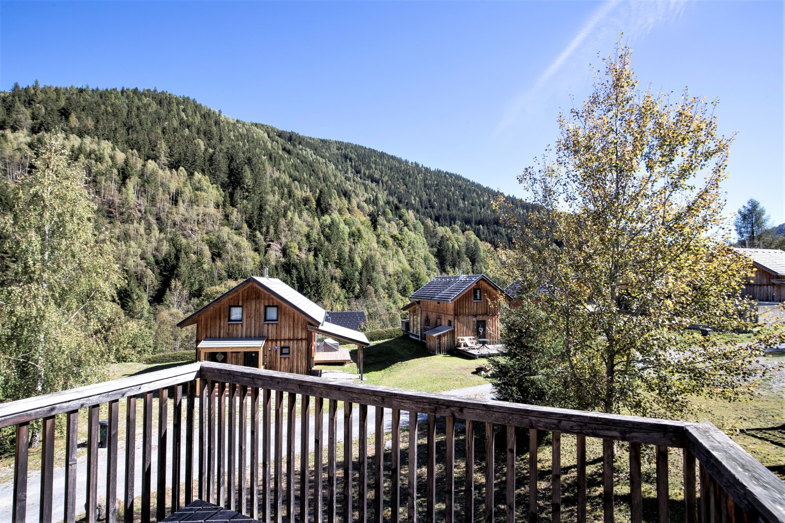 herbst-48437682276-o.jpg