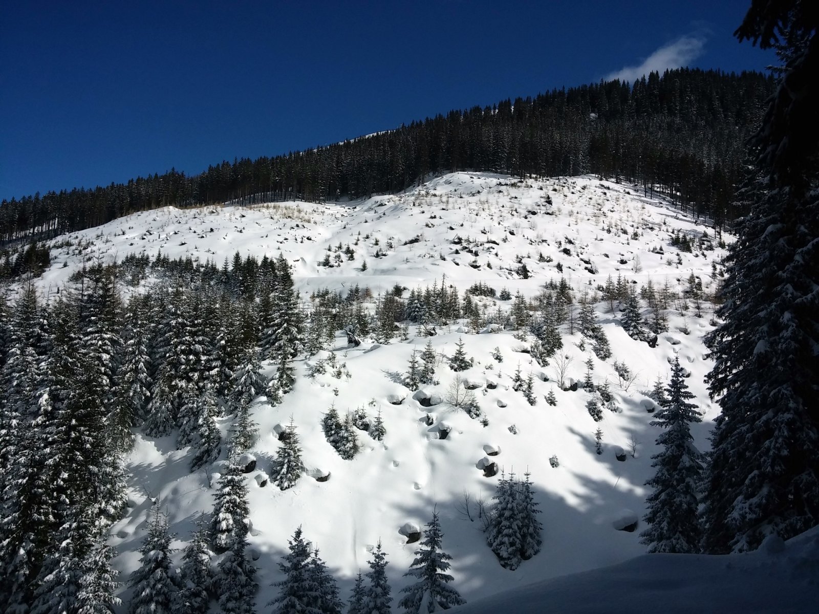 Ezt a patakvölgyet kellene átmászni, ha fent nem sikerült volna az átcsúszás.